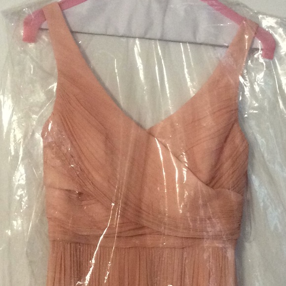 J Crew Pale Pink chiffon gown - Picture 2 of 6